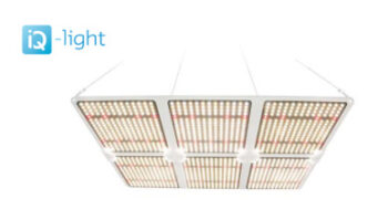 iQ-LED Kweekverlichting