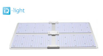 iQ-LED Kweekverlichting